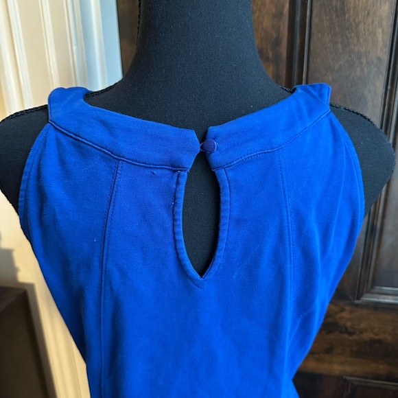 Royal Blue New York & Company Cut Out Cotton Sheath Dress - Picture 5 of 7